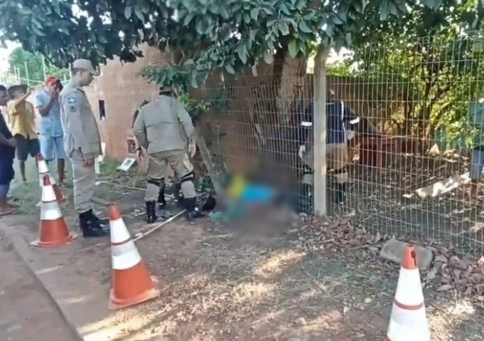 Homem morre eletrocutado após subir em árvore para colher abacates em Sinop