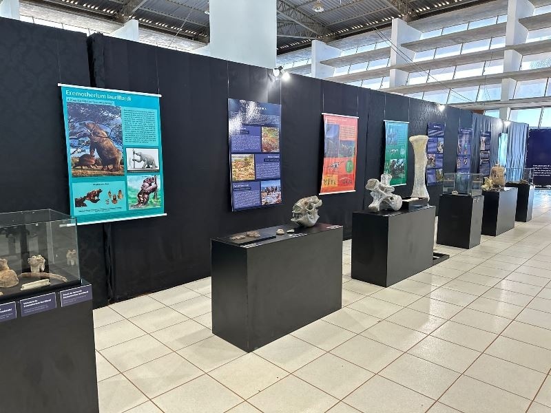 Sinop recebe exposição ‘Descobrindo a Pré-História de Mato Grosso’: veja como visitar