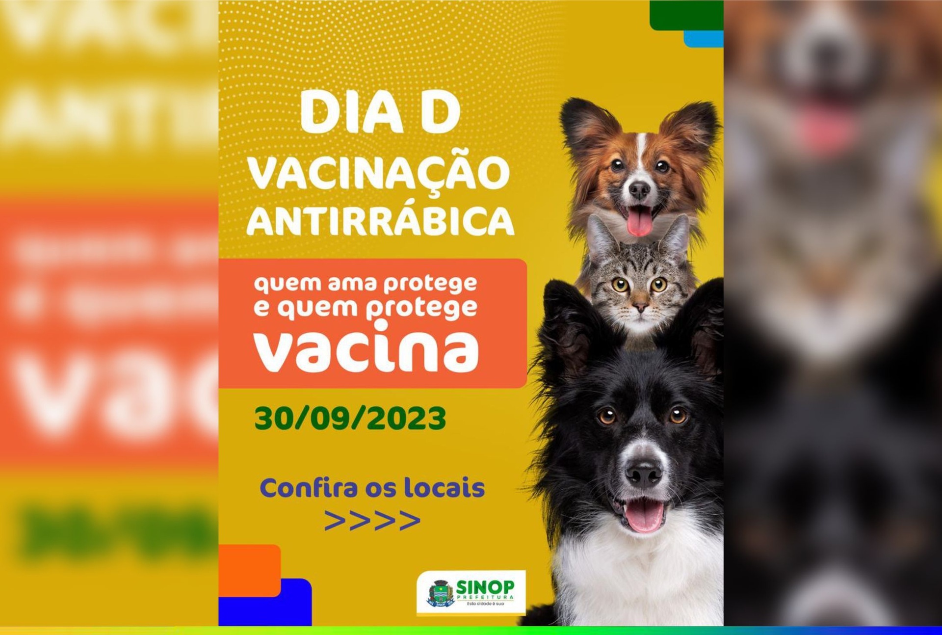 Dia D de Vacinação Antirrábica em Sinop