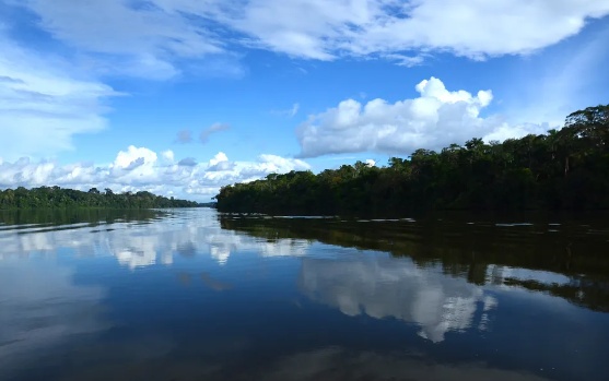 Pesca é proibida a partir de segunda-feira (2) em MT