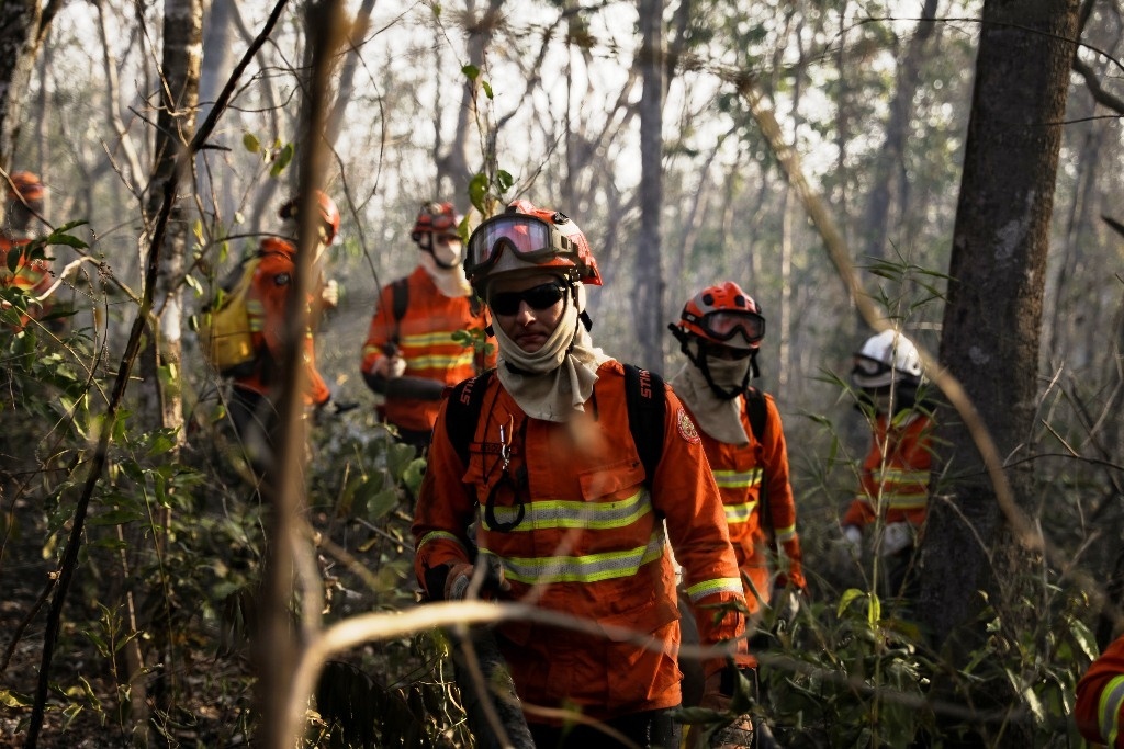 Mato Grosso reduz em 43% o número de focos de calor em 2023