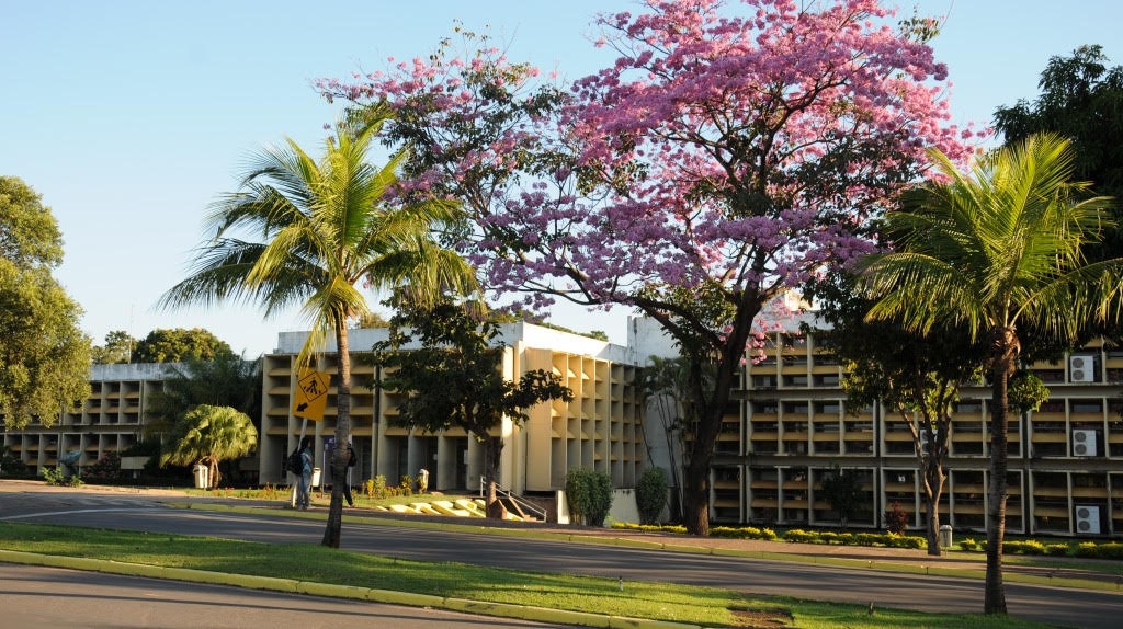 UFMT abre inscrições para concurso público de professores