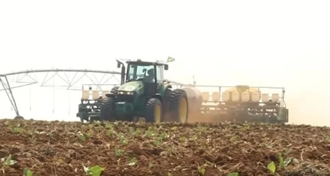 Mato Grosso: ritmo de plantio da soja já é o menor da média dos últimos 5 anos