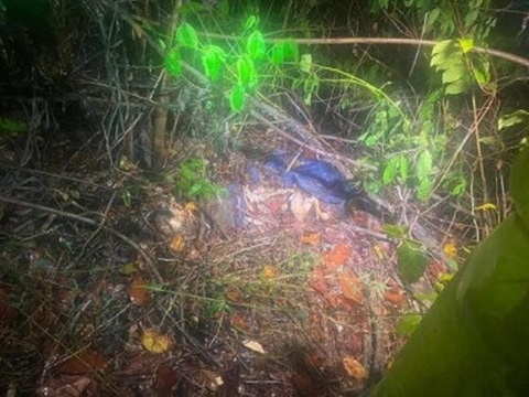 Pescador encontra ossada humana em região de mata fechada