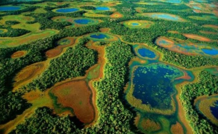Vidal anula decisões e autoriza exploração das áreas úmidas de Mato Grosso