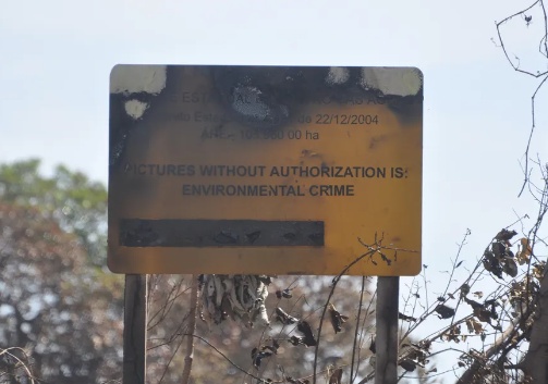 Governo Federal anuncia reforço para combate de incêndios no Pantanal de MT