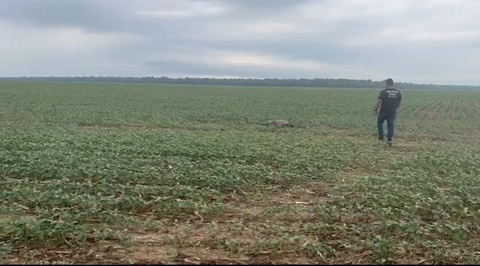 Sinop: Corpo é encontrado em plantação de soja