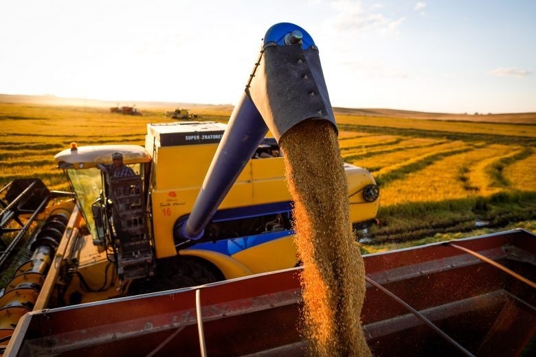 Atraso no plantio de soja vai impactar produtividade da colheita de sacas de milho em Mato Grosso