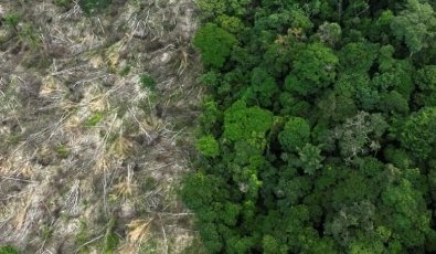 Sema anula R$ 13 milhões em multas por destruição de 3,6 mil hectares em MT