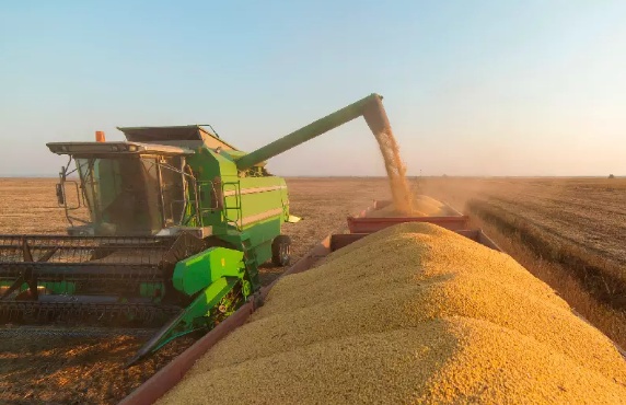 Mato Grosso mantém liderança e agronegócio fatura R$ 184,6 bilhões em 2023