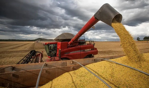 Justiça aprova recuperação judicial de grupo do agro em Mato Grosso com dívida de R$ 124 milhões
