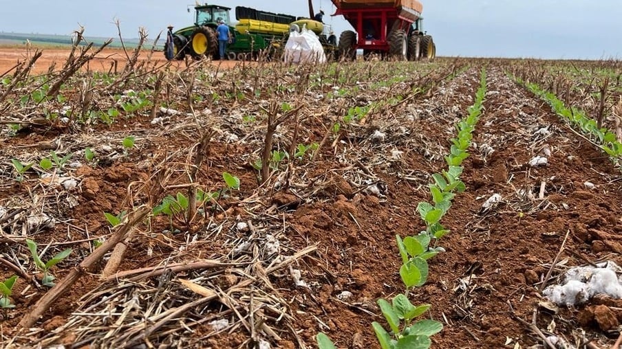 Prazo para plantio excepcional de lavoura de soja em Mato Grosso encerra no próximo sábado