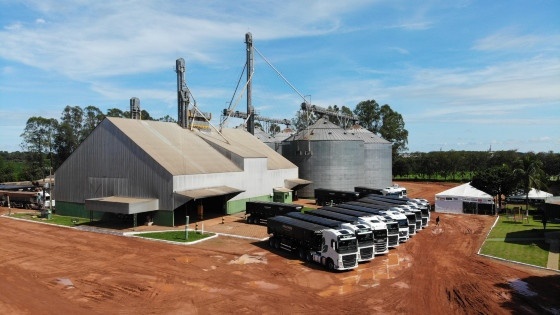 Antes de protocolar pedido de recuperação, grupo pede blindagem; juíza nega