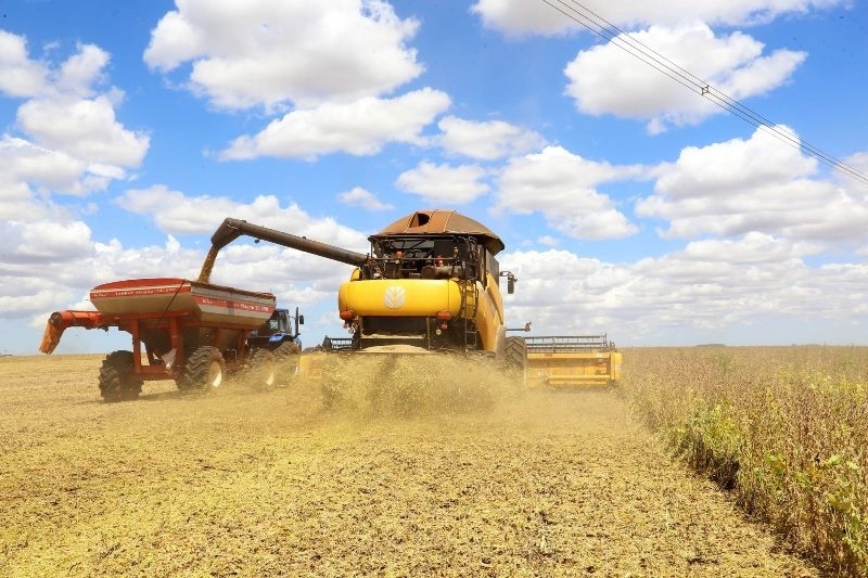 Safra de soja em Mato Grosso deve ser de 35,75 milhões de toneladas, queda de 21%