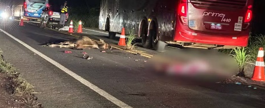 Casal bate em bezerro, cai de moto e é atropelado por caminhão em MT