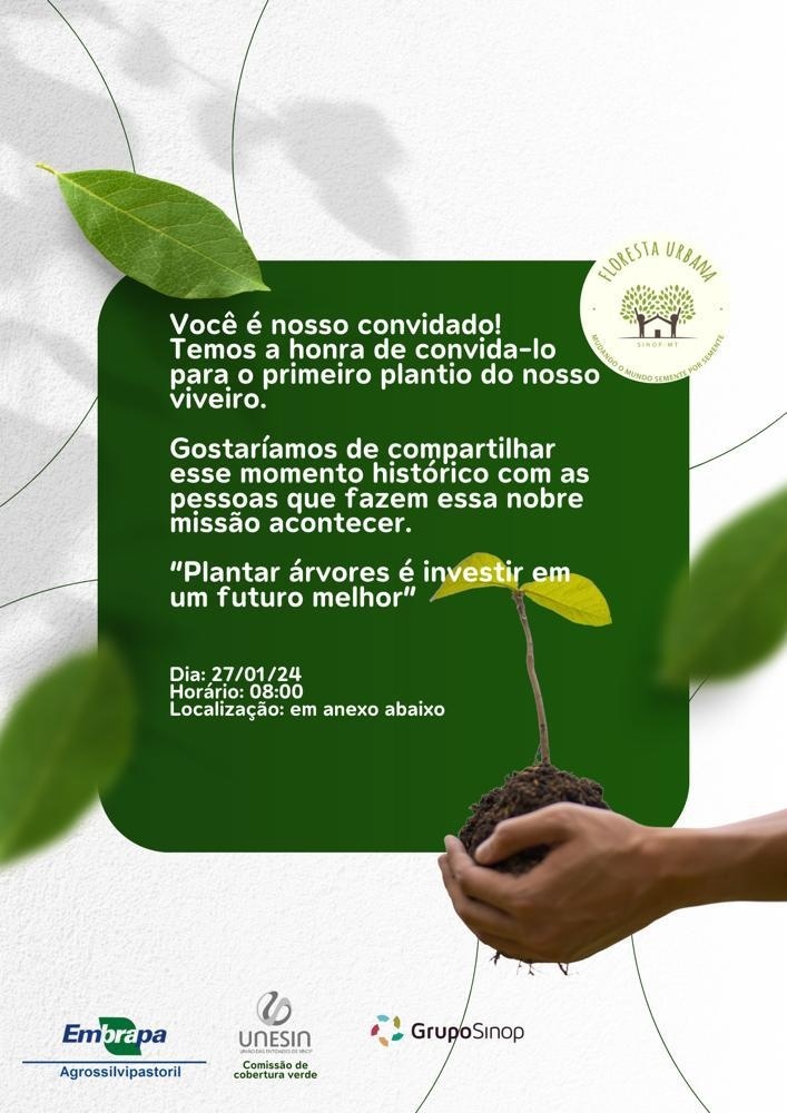 Floresta Urbana fará plantio em Sinop de mudas produzidas na Embrapa