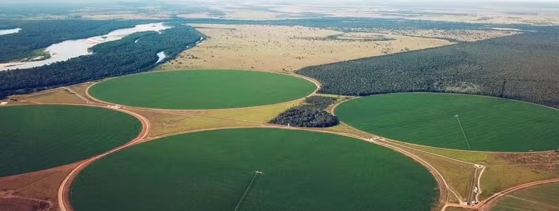 Elisa Agro, de agricultura irrigada, entra com pedido de recuperação judicial