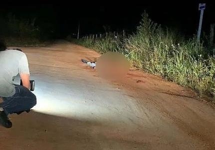 Corpo é encontrado em estrada vicinal de Alta Floresta
