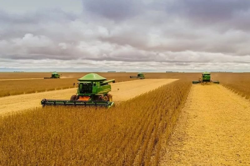 Juiz proíbe bloqueio de bens de produtor com dívidas de R$ 84 milhões e assegura colheita da safra