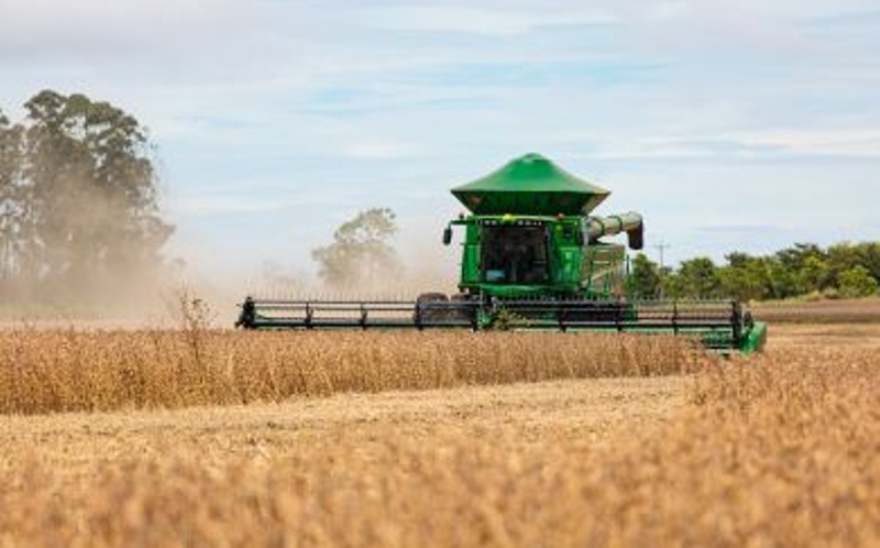 Conab prevê quebra superior a 15% na produção de soja em MT