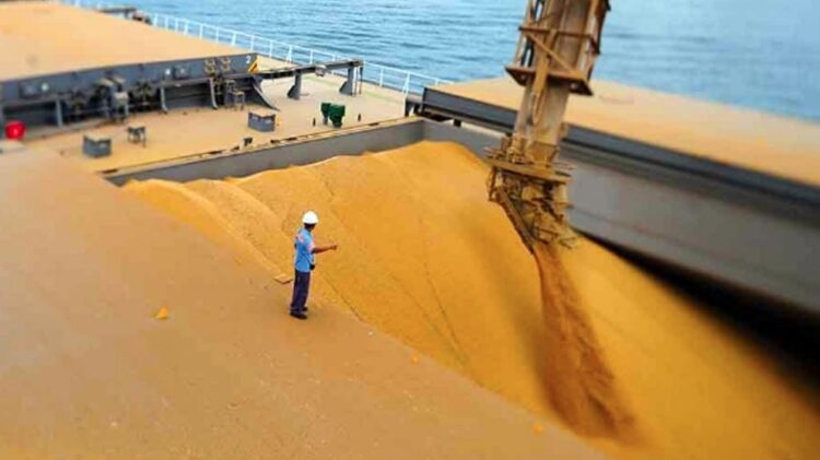 Produção de grãos em Mato Grosso deve reduzir 14,4% devido aos efeitos climáticos