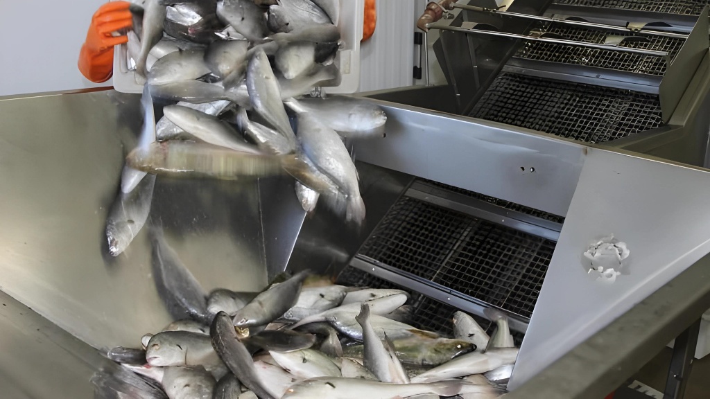 Livro reúne informações sobre processamento de peixes