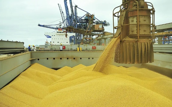 Exportações de soja batem recorde em janeiro e Mato Grosso corresponde a 14% dos embarques