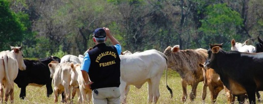 Greve dos fiscais federais podem afetar exportações de carne de Mato Grosso e preocupa pecuaristas