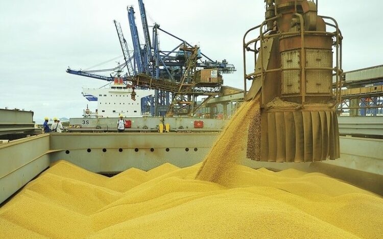 Mato Grosso representa mais de 15% das exportações do agro do país em janeiro