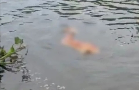 Perna humana tatuada é encontrada boiando em rio