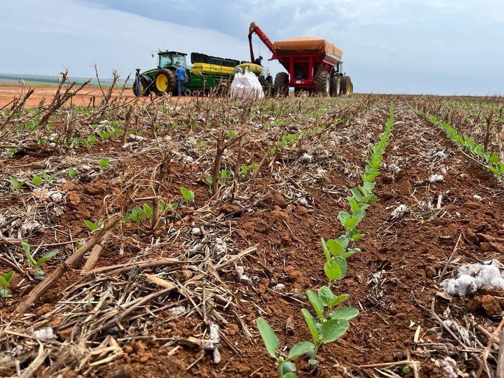 Cultivo da soja fica 1,26% mais caro e produtores esperam socorro de R$ 11 bilhões do Governo Federal
