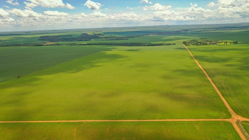 Governo de MT arrecadou mais de 140 mil hectares para regularização fundiária
