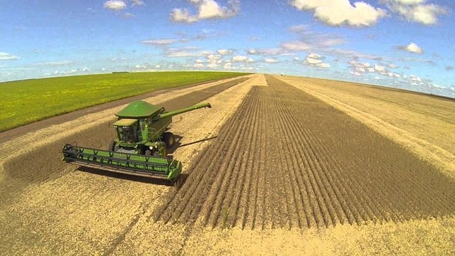 Socorro do Governo Federal aos produtores de MT será anunciado em março, após andamento da safra