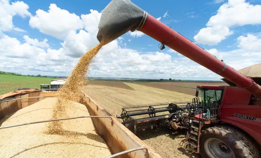 Após safras recordes, agronegócio vive onda de falências e preocupa fundos de investimentos ligados ao setor