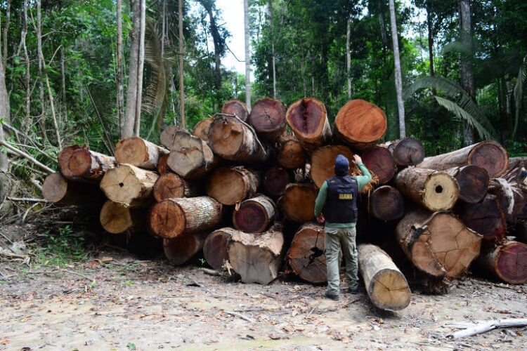 Setor florestal de MT terá selo da ABNT para referendar madeira rastreável e desvinculada do desmatamento ilegal