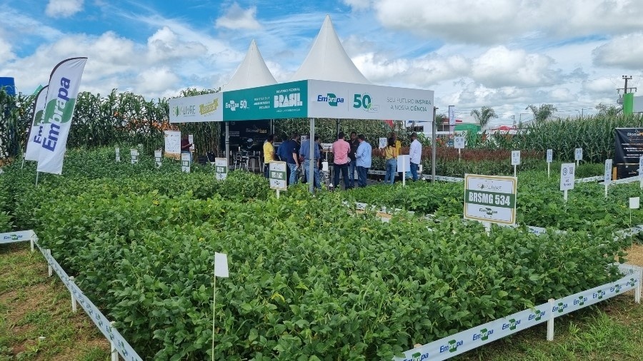 Embrapa e parceiros apresentam mais de 30 tecnologias no Show Safra