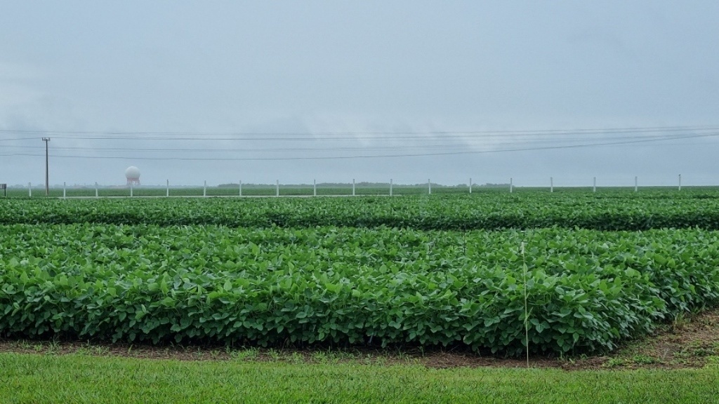 Boletim Agrometeorológico confirma menor volume de chuva na safra em Mato Grosso