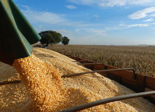 Safra agrícola de 2024 deve ser 5,4% menor que a de 2023, prevê IBGE