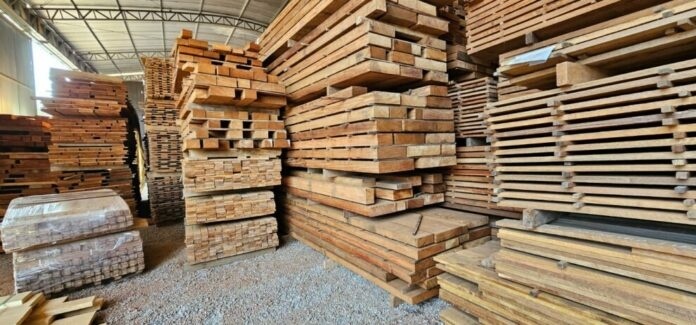 Setor florestal de Mato Grosso fatura US$ 104,6 milhões em negócios com 61 países