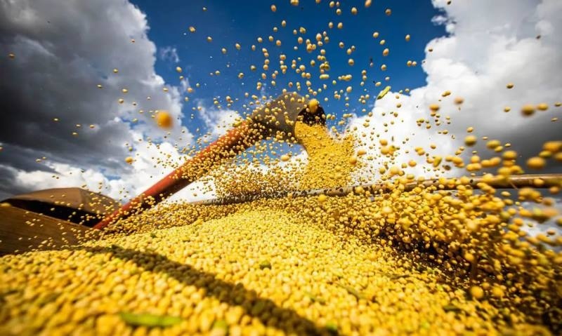 FMI volta a subir projeção para PIB do Brasil, com alta de 2,2% em 2024; previsão global é de 3,2%