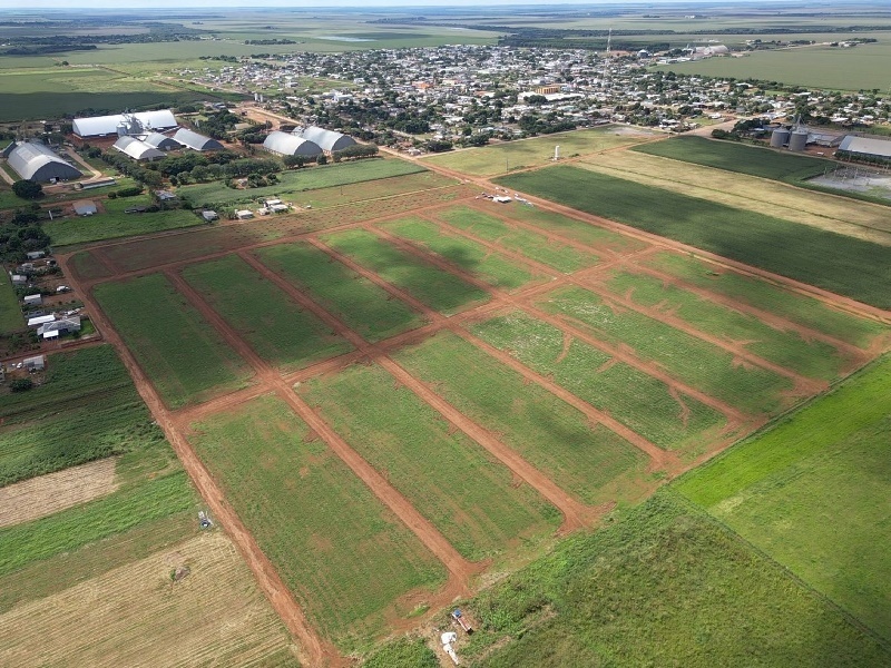 Loteamento abre espaço para residências em cidade movida pelo agro