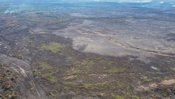 Justiça nega prisão de suspeito de desmatamento químico no Pantanal
