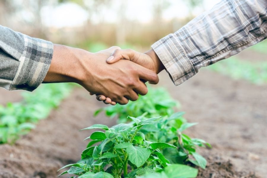 Produtores rurais podem renegociar dívidas do crédito rural até dia 31 de maio