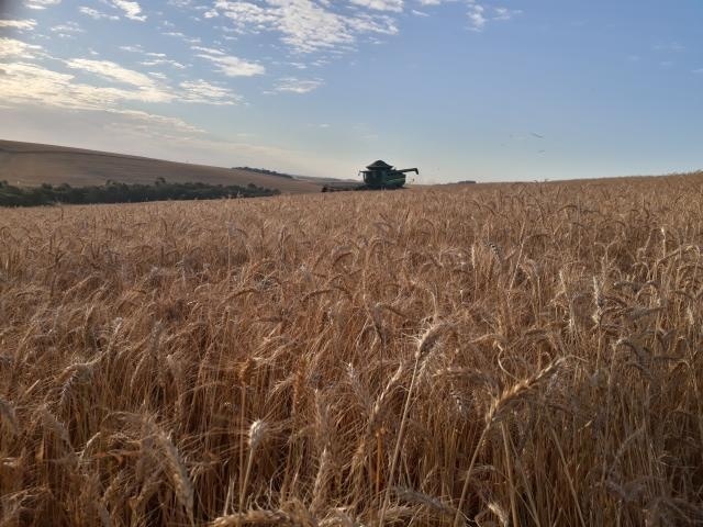 Uso de bioinsumos cresce e já alcança 31% da área cultivada no país, diz estudo