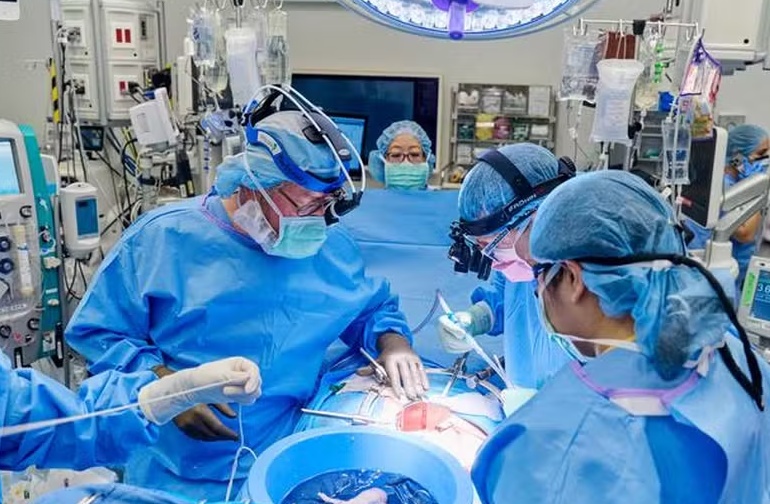 Em cirurgia inédita, mulher nos EUA recebe coração mecânico e rim suíno