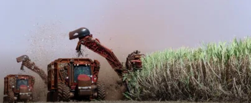 Na Agrishow, BNDES lança nova linha de crédito para produtores e valor para o setor pode chegar a R$ 10 bilhões em 2024