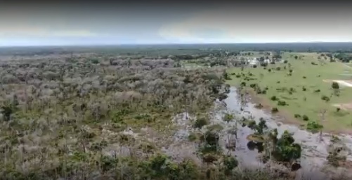 Justiça nega pela 2ª vez pedido de prisão de pecuarista que gastou R$ 25 milhões em desmate químico no Pantanal