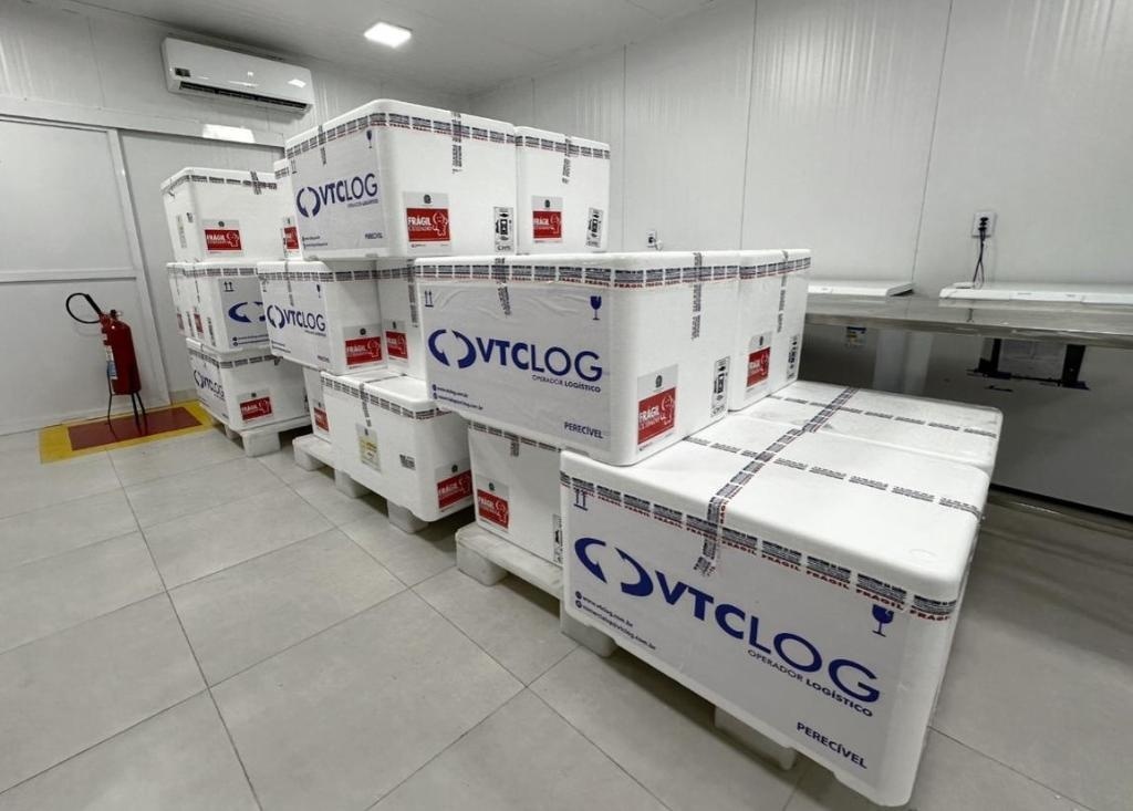 Doses da vacina contra a dengue serão liberadas a municípios de MT nesta quinta-feira (02)