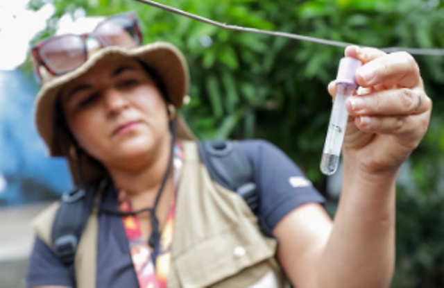 Doze dos 15 estados com mais casos de dengue reduzem verba para combater doença