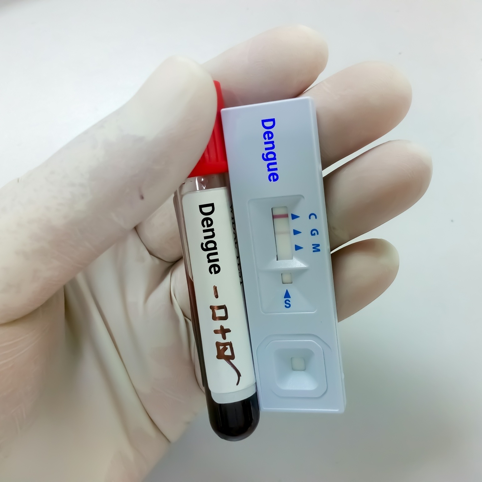 Sinop tem média 8 casos de dengue por dia